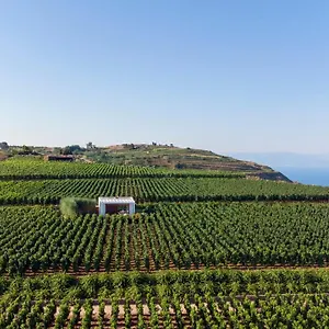 Castellaro Wine Resort Città di Lipari